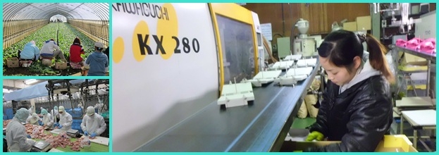 Tuyển lao động đi làm việc tại Nhật Bản